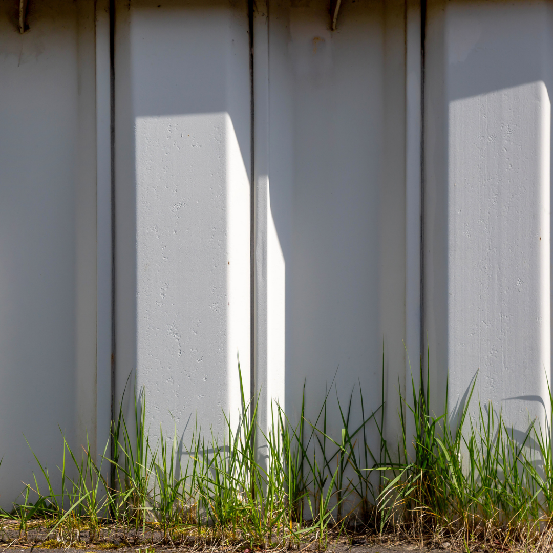 Damwandplaten reinigen door Panhuijzen Groen